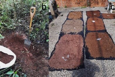 Estudo com 500 amostras de solo qualifica manejo nutricional de vinhedos da Serra Gaúcha