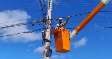 Confira o calendário das próximas datas da ação de retirada de fios obsoletos em Farroupilha