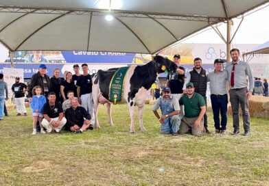 Granja Letícia, associada da Cooperativa Santa Clara é Grande Campeã da Raça Holandesa na Fenasul Expoleite Granja Letícia, associada da Cooperativa Santa Clara é Grande Campeã da Raça Holandesa na Fenasul Expoleite