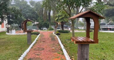 Prefeitura de Farroupilha inaugura meliponário e promove ações de conscientização sobre a importância das abelhas