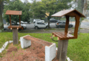 Prefeitura de Farroupilha inaugura meliponário e promove ações de conscientização sobre a importância das abelhas Prefeitura de Farroupilha inaugura meliponário e promove ações de conscientização sobre a importância das abelhas