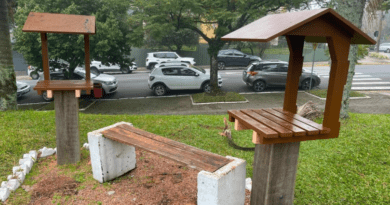 Prefeitura de Farroupilha inaugura meliponário e promove ações de conscientização sobre a importância das abelhas Prefeitura de Farroupilha inaugura meliponário e promove ações de conscientização sobre a importância das abelhas