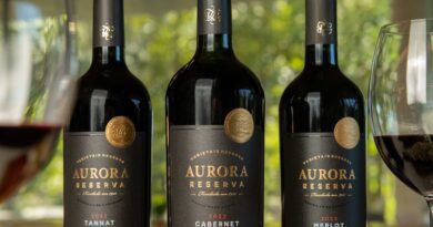 Cooperativa Vinícola Aurora ultrapassa 1.000 medalhas e reforça protagonismo do vinho brasileiro Cooperativa Vinícola Aurora ultrapassa 1.000 medalhas e reforça protagonismo do vinho brasileiro