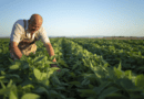 Semana da Agricultura de Farroupilha valoriza o trabalho no campo com programação técnica e de reconhecimento aos produtores