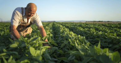 Semana da Agricultura de Farroupilha valoriza o trabalho no campo com programação técnica e de reconhecimento aos produtores