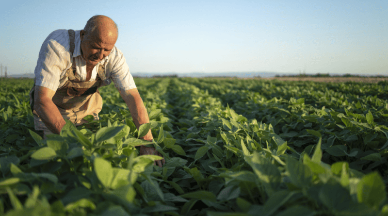 Semana da Agricultura de Farroupilha valoriza o trabalho no campo com programação técnica e de reconhecimento aos produtores