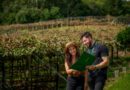 Plano Safra aproxima Sicredi Serrana do produtor rural