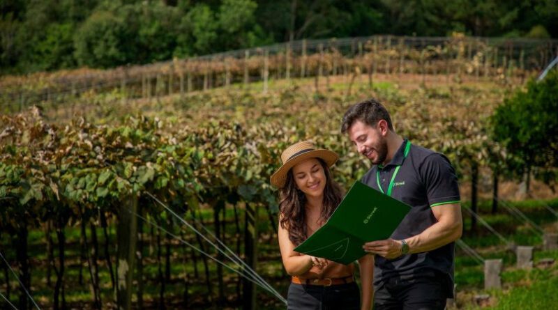 Plano Safra aproxima Sicredi Serrana do produtor rural