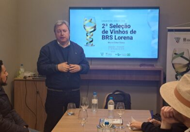 Vinícolas já podem se preparar para a 2ª Seleção de Vinhos de BRS Lorena Vinícolas já podem se preparar para a 2ª Seleção de Vinhos de BRS Lorena