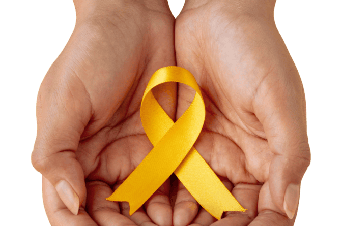 Prefeitura de Farroupilha promove abertura oficial da programação do Setembro Amarelo nesta terça-feira Prefeitura de Farroupilha promove abertura oficial da programação do Setembro Amarelo nesta terça-feira