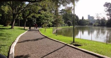 Furto de fiação elétrica é registrado no Parque dos Pinheiros