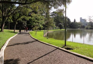 Furto de fiação elétrica é registrado no Parque dos Pinheiros