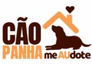 Campanha Me AUdote acontece neste sábado na Praça da Prefeitura Campanha Me AUdote acontece neste sábado na Praça da Prefeitura