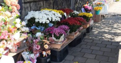 Feira das Flores do Dia de Finados inicia na próxima sexta-feira