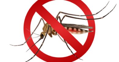 Prefeitura de Farroupilha realiza fumacê contra a dengue no bairro Primeiro de Maio nesta quarta-feira Prefeitura de Farroupilha realiza fumacê contra a dengue no bairro Primeiro de Maio nesta quarta-feira